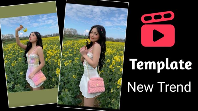 Fell in Love Templix App Template