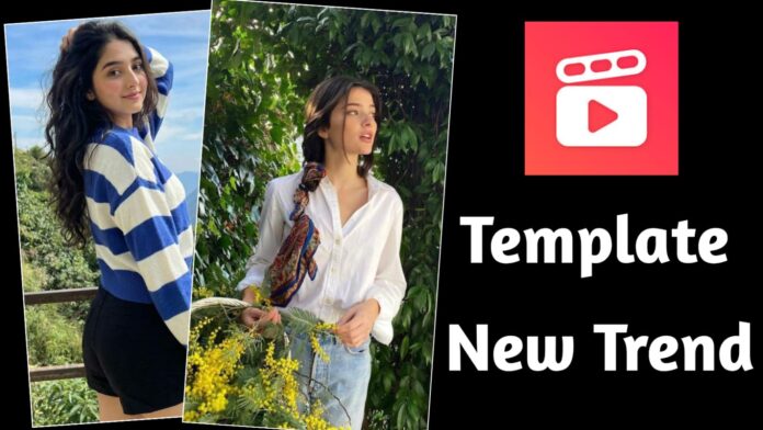 Picture diary Templix Template 2026