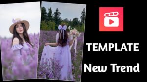 Purpal Hat Templix Template 2026