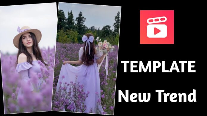 Purpal Hat Templix Template 2026